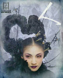 hair by ping chin